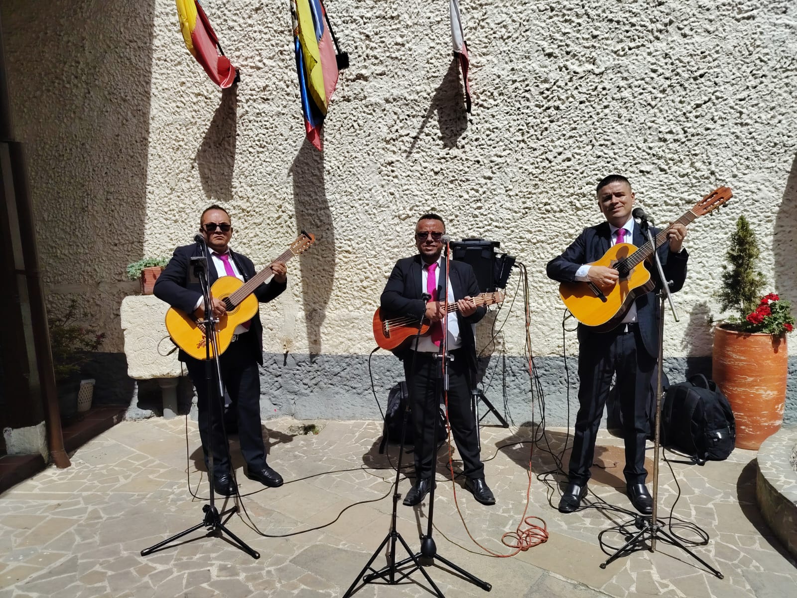 Musicos de Cuerda, serenatas Bogotá